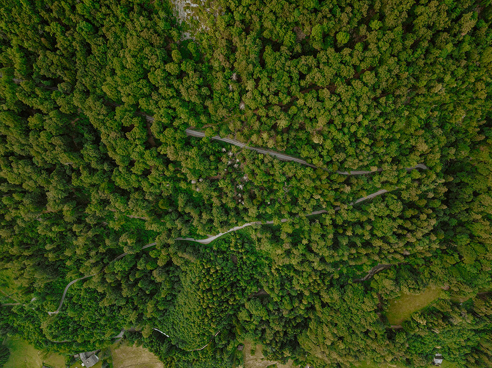 En la imagen, se ve un sendero desde vista aerea