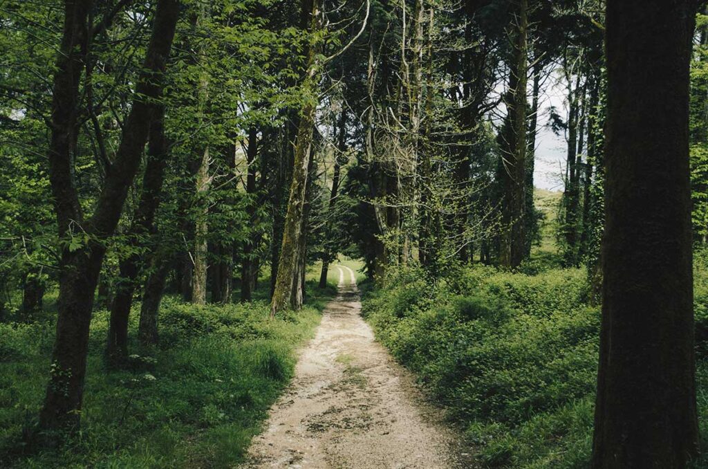 Es una ruta natural, donde LaVeraTrail, ayudo a manternerlo.