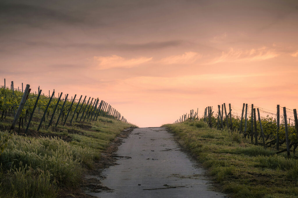Caminos sostenibles que determinan el futuro