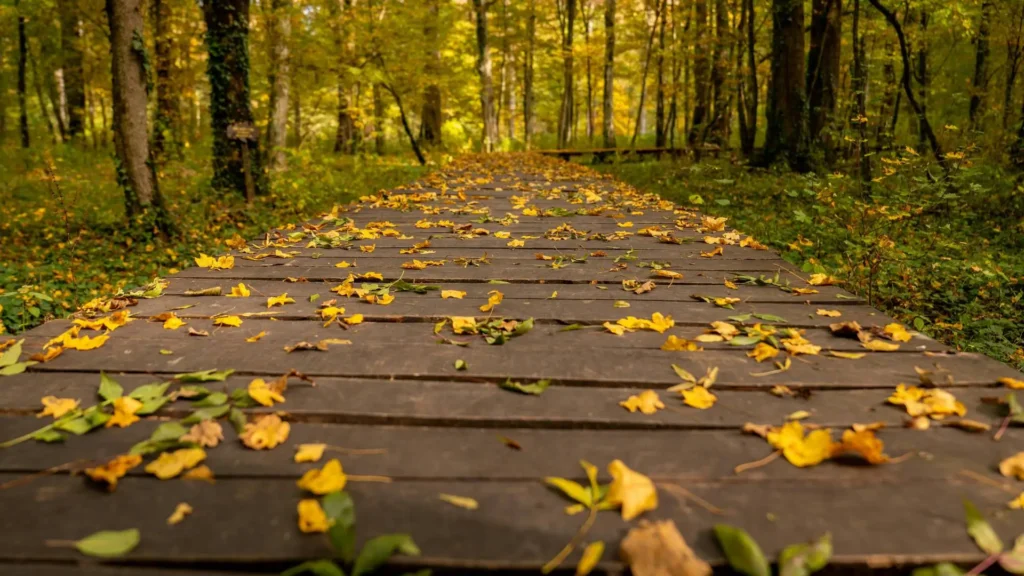 El futuro de las infraestructuras rurales: Innovación a través del diseño sostenible