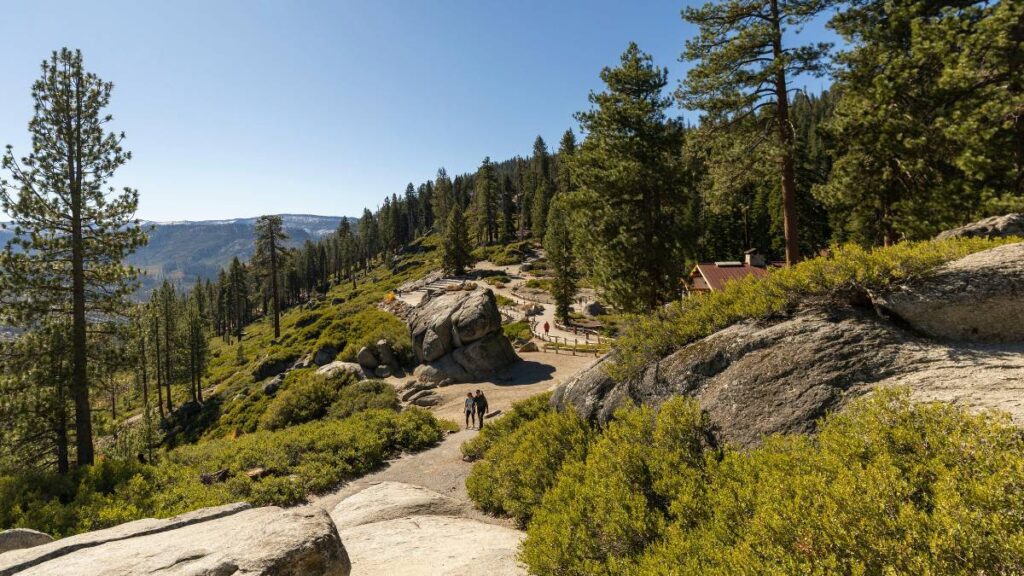 Cómo recuperar rutas de senderismo devoradas por la maleza