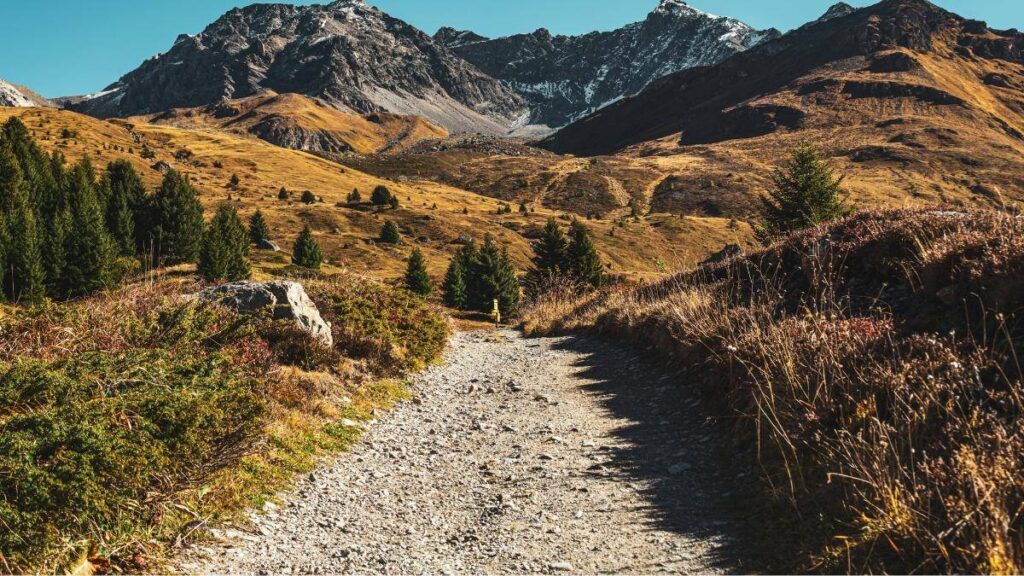 Caminos curvos o rectos para transformar los senderos naturales