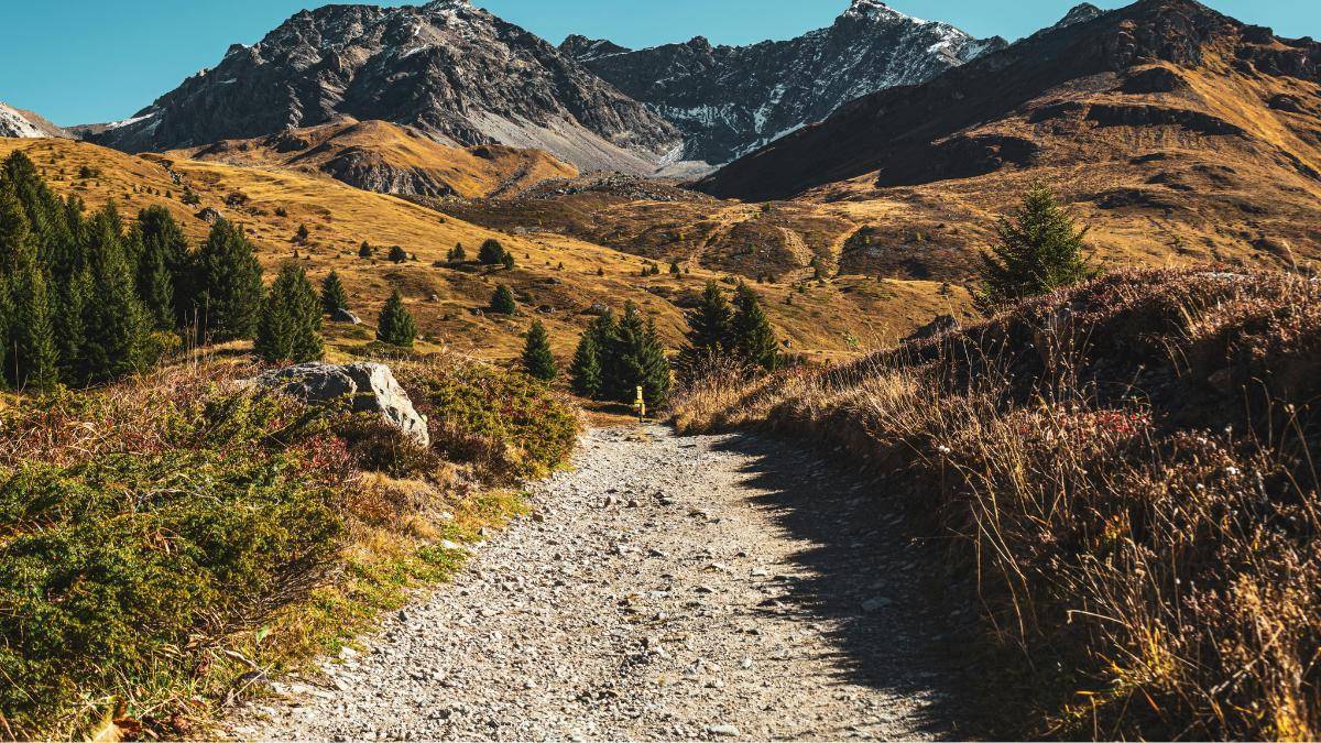 Caminos curvos o rectos para transformar los senderos naturales