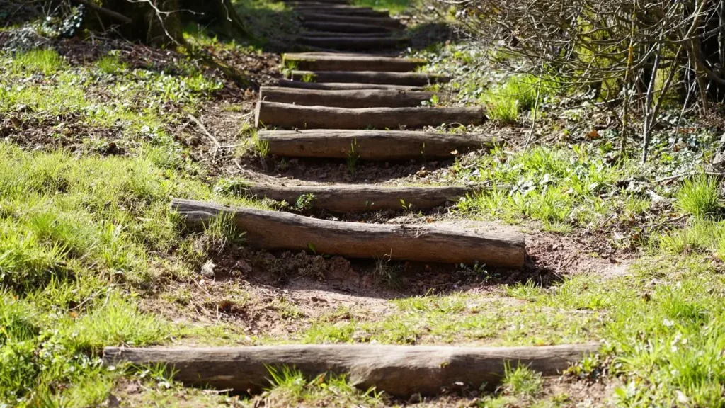 Materiales locales vs. sintéticos: ¿Cuál es mejor para un camino natural?